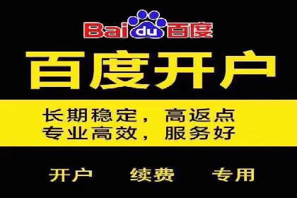 SEM代理服务：助力企业精准营销案例解析